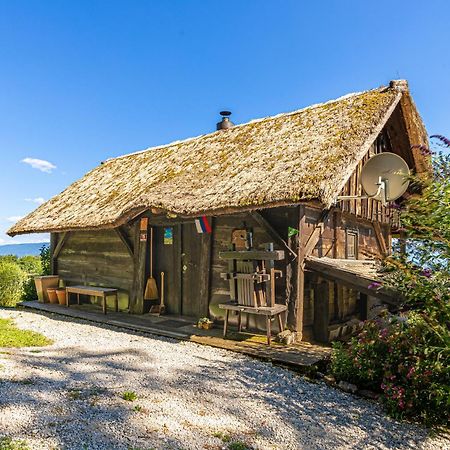 Vineyard Cottage Skatlar Otočec Buitenkant foto