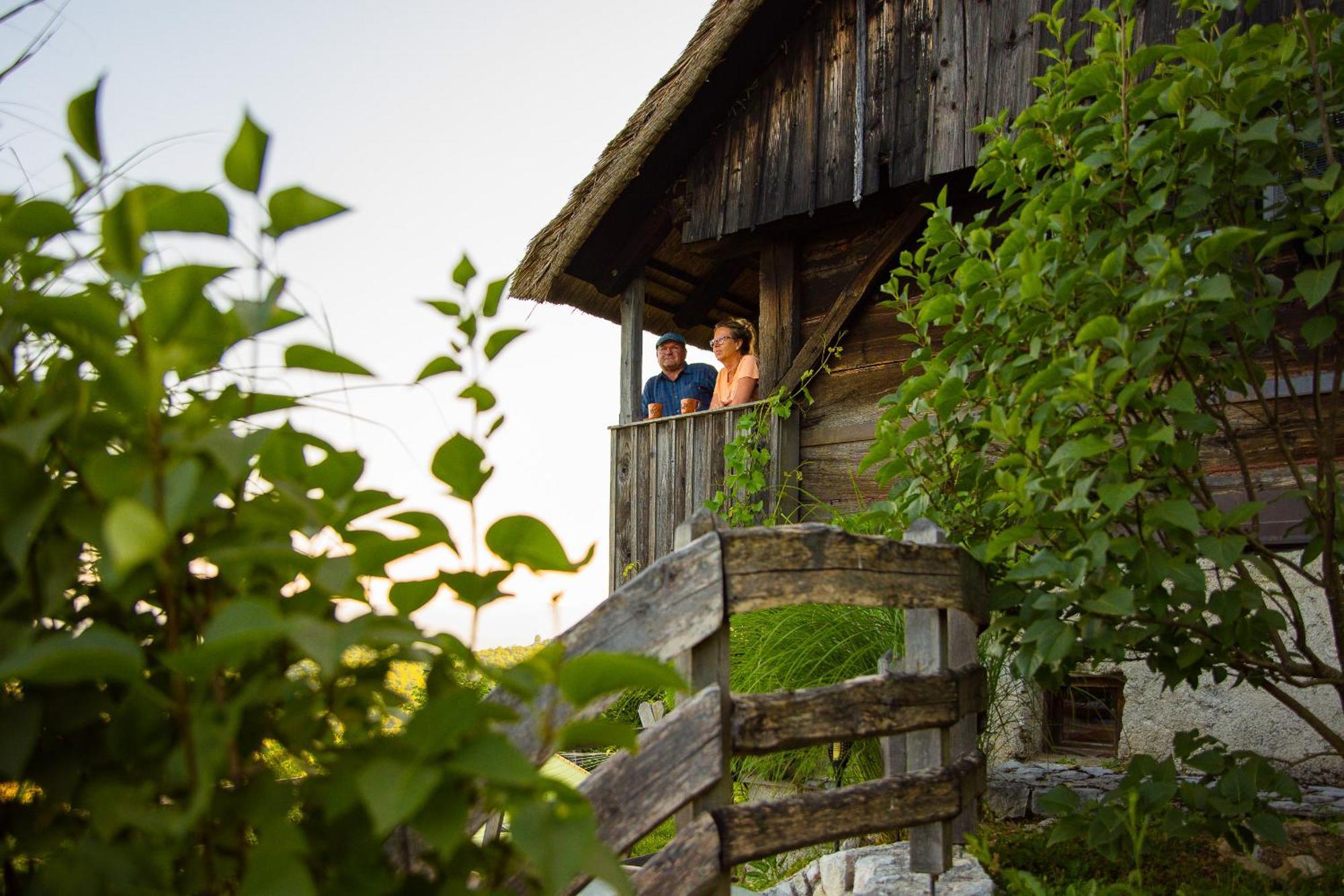 Vineyard Cottage Skatlar Otočec Buitenkant foto
